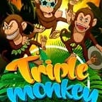 Triple Monkey