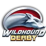 Wildhound Derby